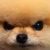Profile picture of FluPu