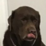 Profile picture of MaxGreenTitan
