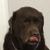 Profile picture of MaxGreenTitan