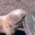 Profile picture of Deino