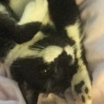 Profile picture of S1L3NC3