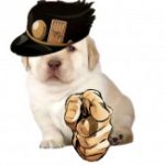Profile picture of Jswizzle JR.