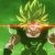 Profile picture of Kai-sama