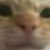 Profile picture of SpeedDXH