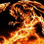 Profile picture of Drago1136