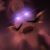 Profile picture of wah