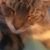 Profile picture of i hate my username