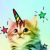 Profile picture of Kirito4
