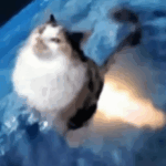 Profile picture of FreemanFreewill