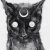 Profile picture of Night Shade