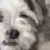 Profile picture of Isidro
