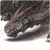 Profile picture of DasenDragon