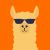Profile picture of TheDumbLlama (SNPD)