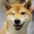 Profile picture of Zekkin
