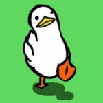 Duckii