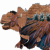 Profile picture of Pyinojira21