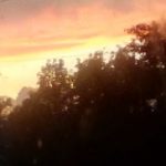 Profile picture of WhyTho?