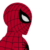 SpiderSentry Animations