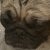 Profile picture of Asher