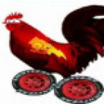 Profile picture of chochema22