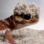 JesseBS2