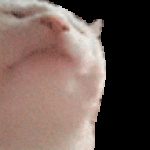 Profile picture of InsertNothing05