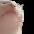 Profile picture of InsertNothing05