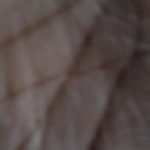 Profile picture of Gamer3564y