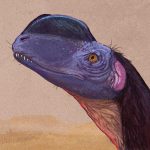 Profile picture of Julian