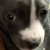 Profile picture of Bryson