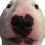 Profile picture of OscarIsntThere