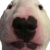 Profile picture of OscarIsntThere