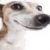 Profile picture of Teal FRIED