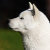 Profile picture of Yakami