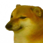 Profile picture of Rain
