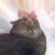 Profile picture of Muffinz