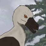 Velochieraptor22