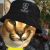 Profile picture of Lic. Momazo777