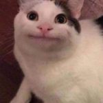 Miming69420