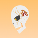 Profile picture of Chim Chim O's 2