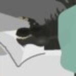 Profile picture of [•Lord Torvojirex•]