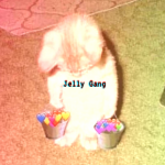 Profile picture of Jelly