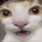 Profile picture of Brendye