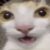 Profile picture of Brendye