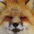 Profile picture of The Foxo was on a stroll then he got fat by eatting the loaf