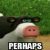Profile picture of Nimble