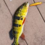 Eabamant