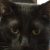 Profile picture of Benjamin76712