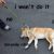 Profile picture of Doge199