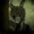 Profile picture of Entity 303